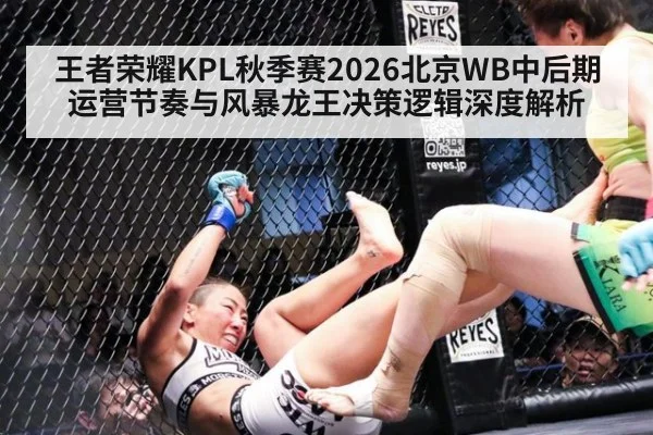 王者荣耀KPL秋季赛2026北京WB中后期运营节奏与风暴龙王决策逻辑深度解析