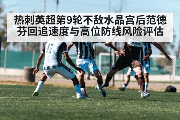 热刺英超第9轮不敌水晶宫后范德芬回追速度与高位防线风险评估